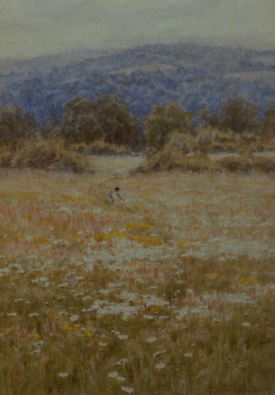 Zbieranie stokrotek w Westerham, Kent autorstwa Helen Allingham