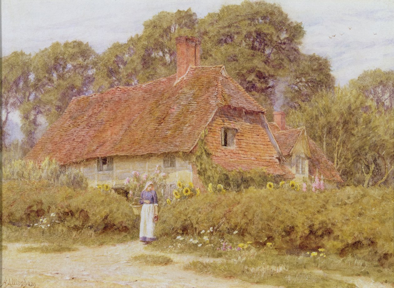 Słoneczniki autorstwa Helen Allingham
