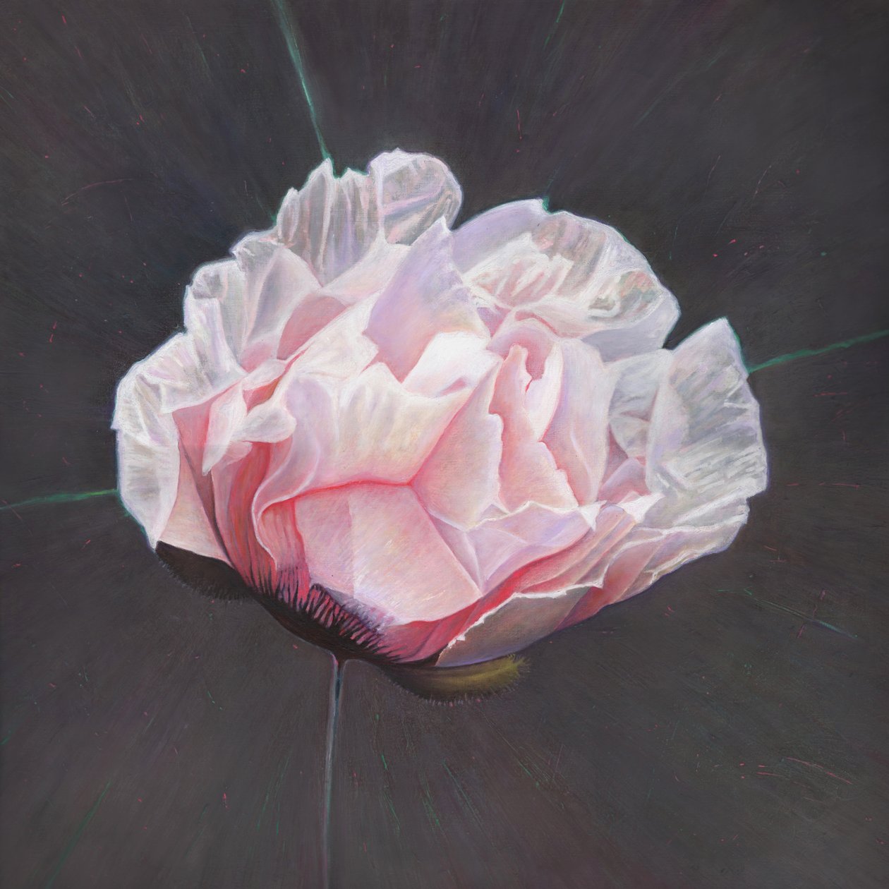 Emergence, 2015, autorstwa Helen White