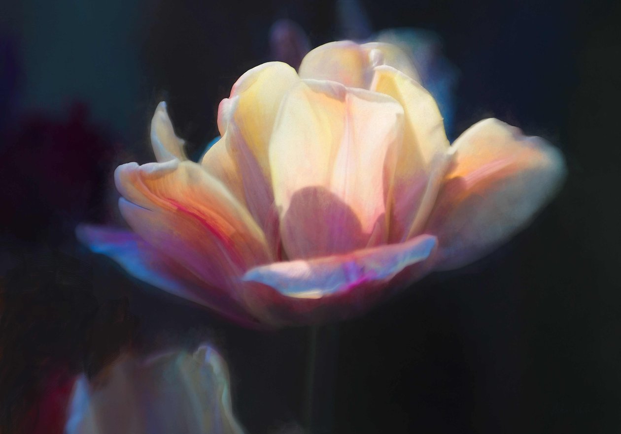 Emergence III, 2018, autorstwa Helen White