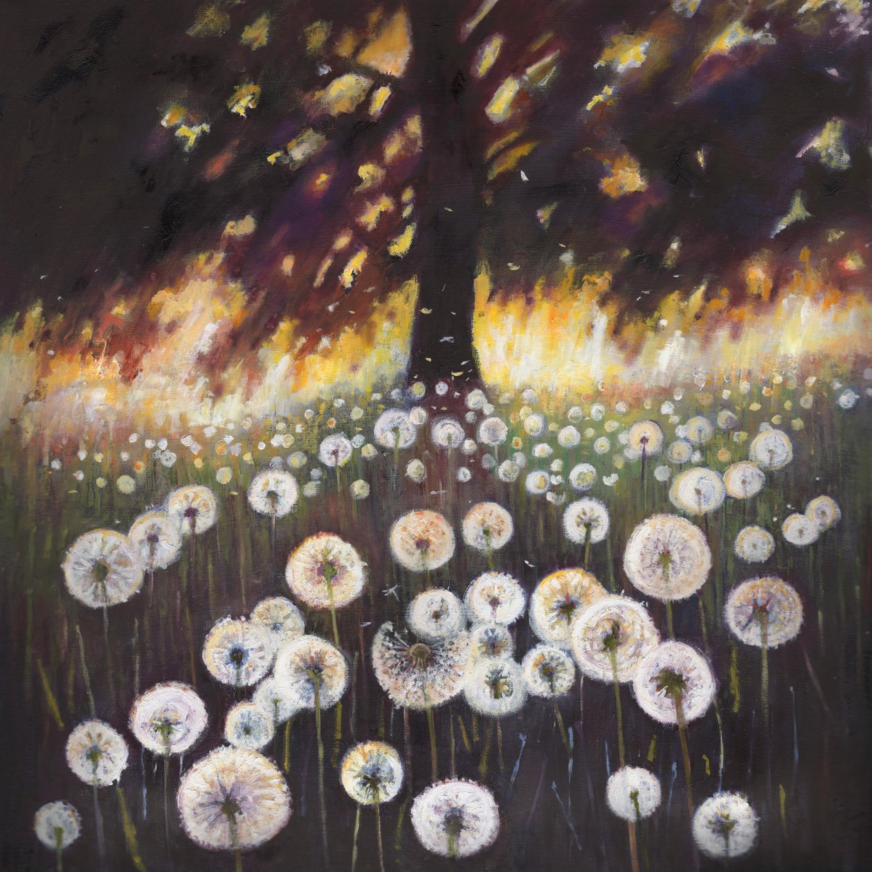 Pole marzeń, 2015, autorstwa Helen White