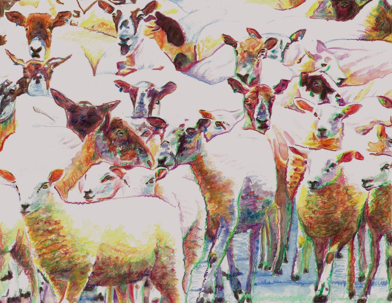 Flock, 2011, (kolorowe kredki na papierze) autorstwa Helen White