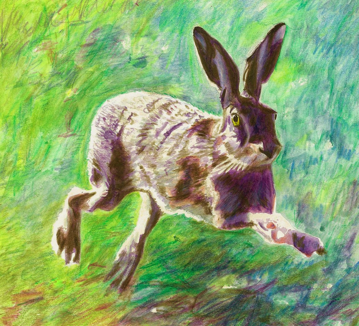 Wesoły zając, 2011, (kolorowa kredka na papierze) autorstwa Helen White