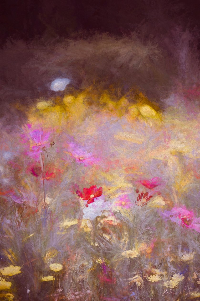 Łąka, 2018, autorstwa Helen White