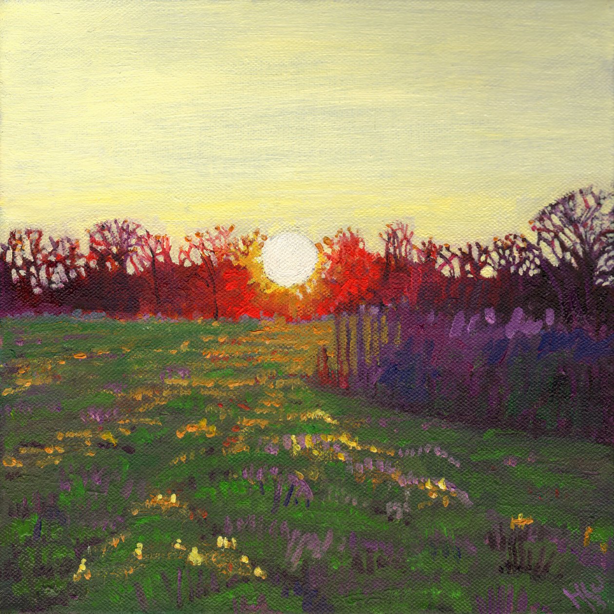 Ścieżka światła, 2013, autorstwa Helen White