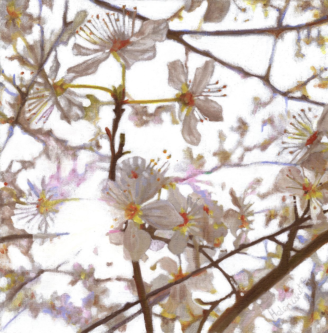 Preludium, 2014, autorstwa Helen White