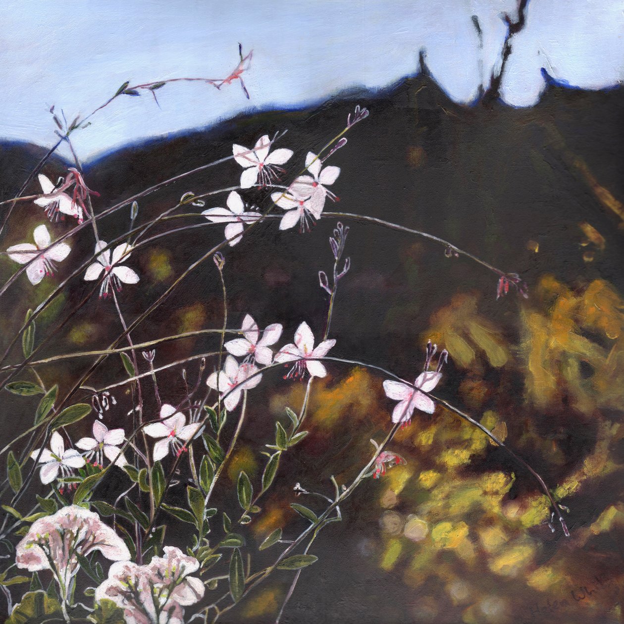 Ogród prowansalski I, 2014, autorstwa Helen White