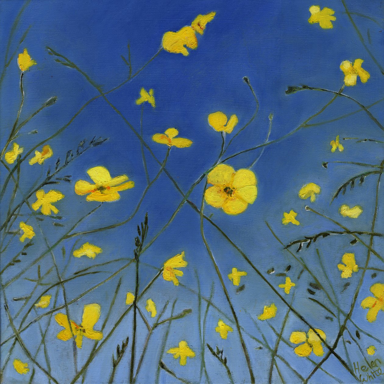 Letnie dni i leniwe drogi, 2015, autorstwa Helen White