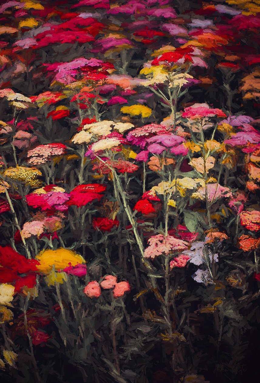 Dziko kolorowy, 2018, autorstwa Helen White