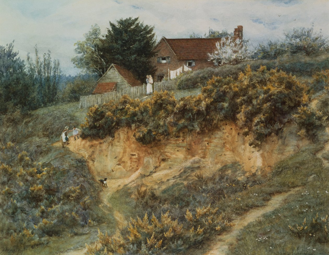 At Sandhills, Witley (akwarela z wydrapaniem na papierze) autorstwa Helen Allingham