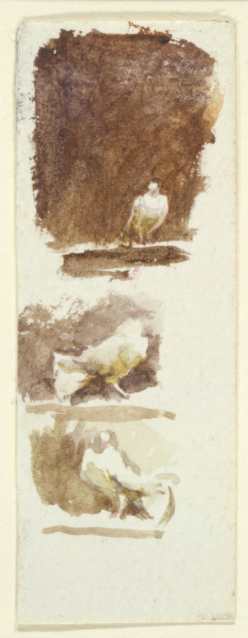 Gołębie (wc na papierze) autorstwa Helen Allingham