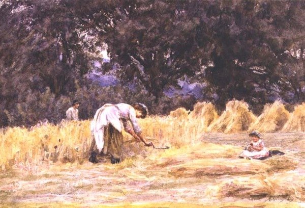 Żniwny autorstwa Helen Allingham