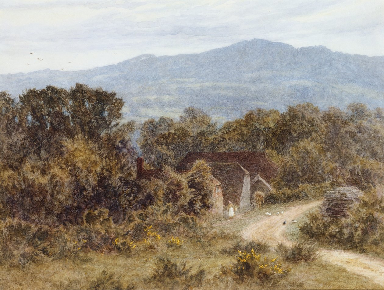 Tył z Sandhills, Witley (akwarela na papierze) autorstwa Helen Allingham