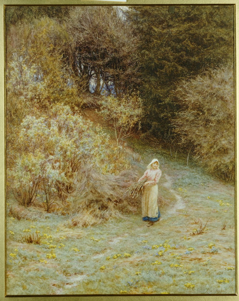W Lesie Pierwiosnkowym autorstwa Helen Allingham