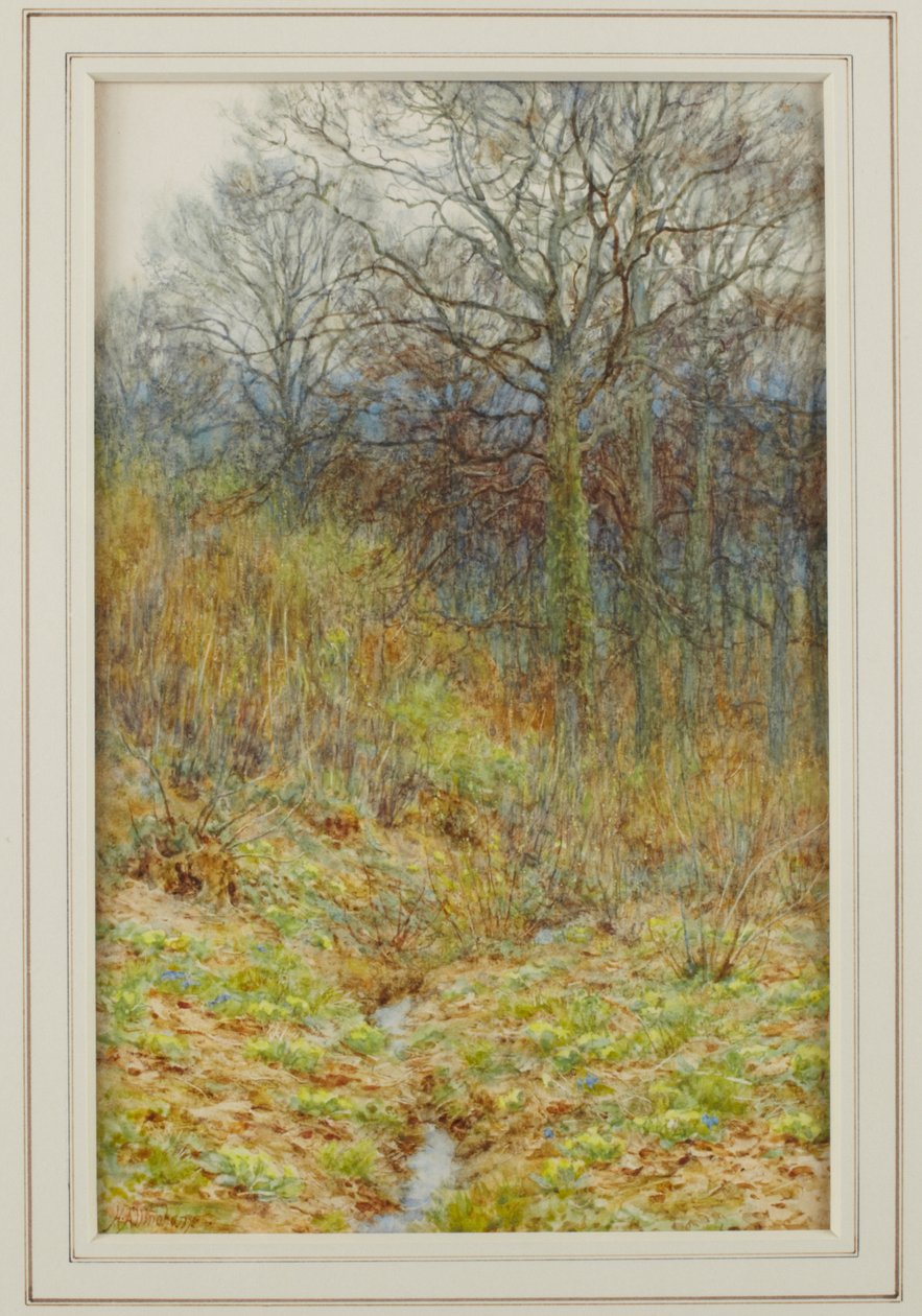 Nasze drewno pierwiosnkowe, 1913 autorstwa Helen Allingham