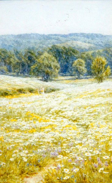 Stokrotki Oxeye Daisies, niedaleko Westerham, Kent (akwarela na papierze) autorstwa Helen Allingham