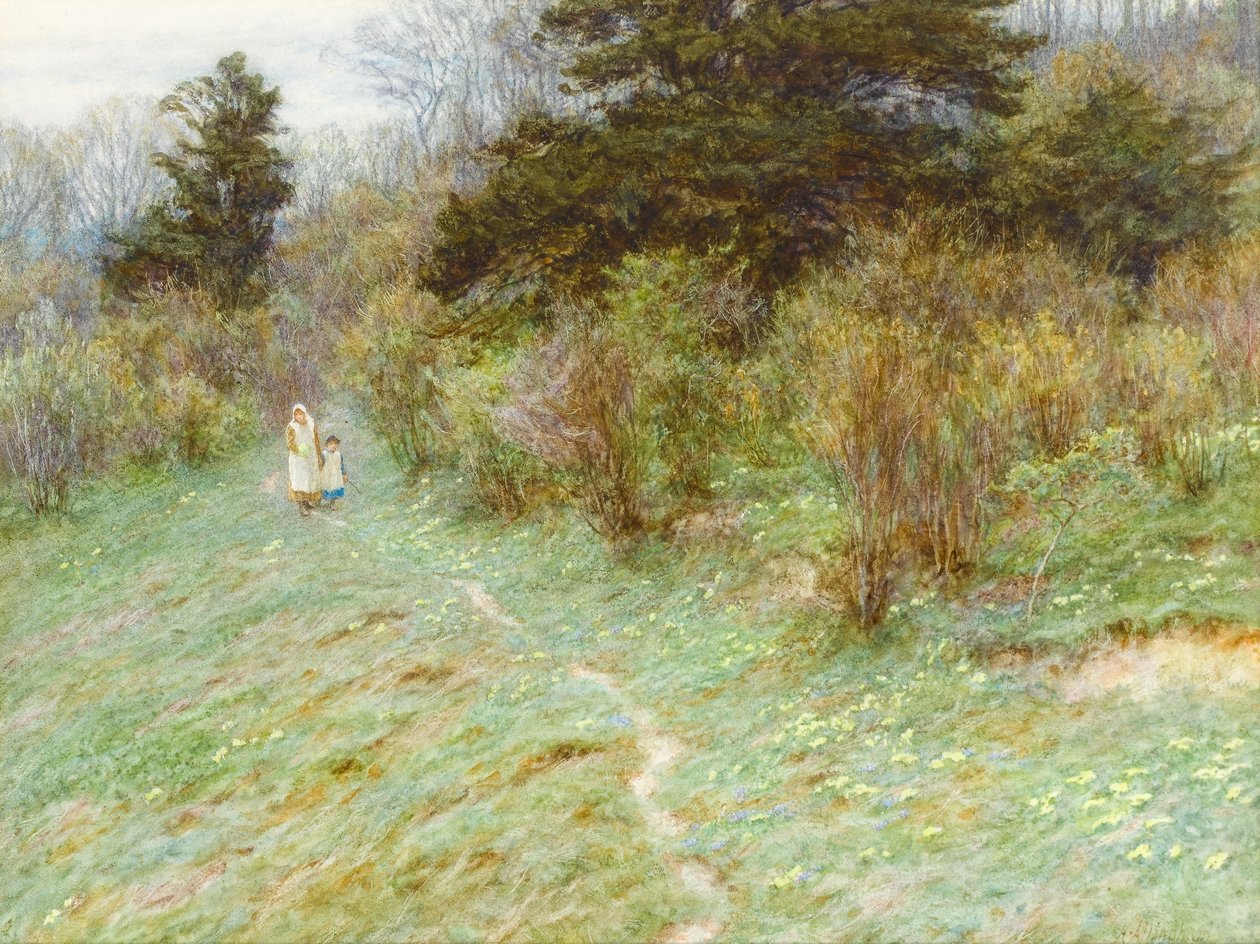 Pierwiosnki na Surrey Heath (wc na papierze) autorstwa Helen Allingham