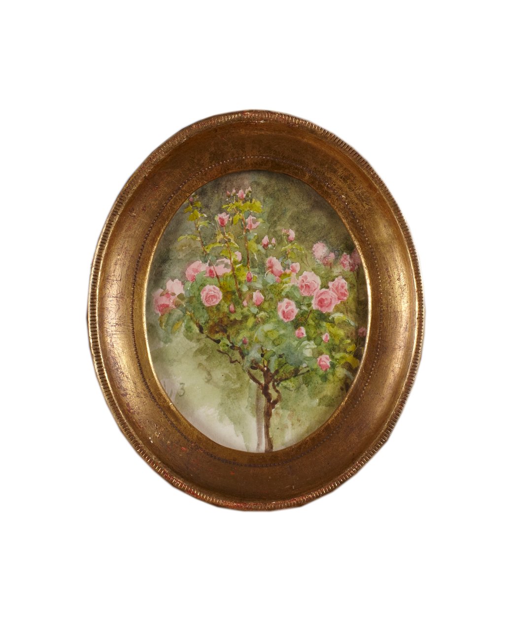 Krzak róży (akwarela na papierze) autorstwa Helen Allingham