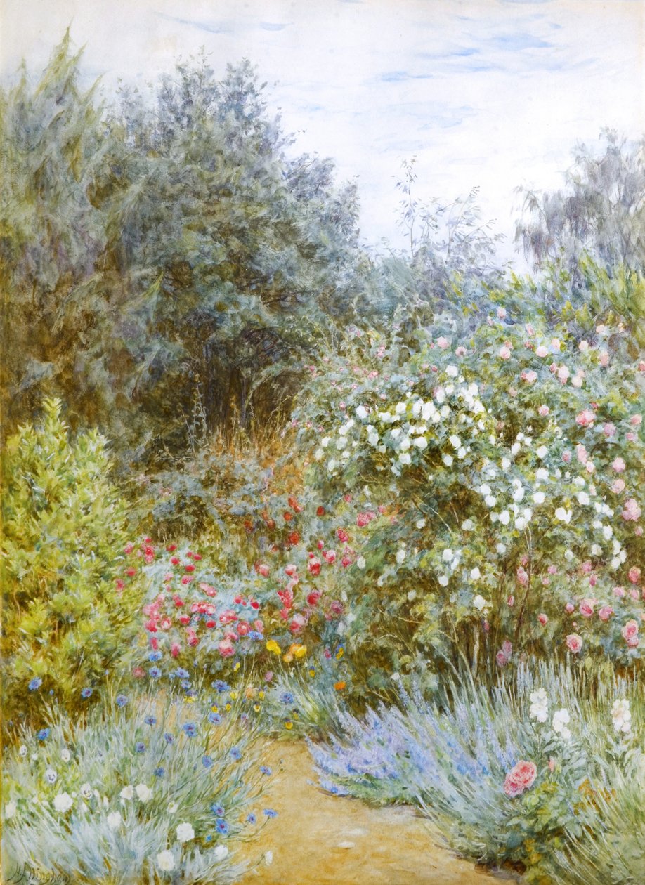 Róże w ogrodzie Gertrudy Jekyll, Munstead Wood, Surrey (akwarela) autorstwa Helen Allingham