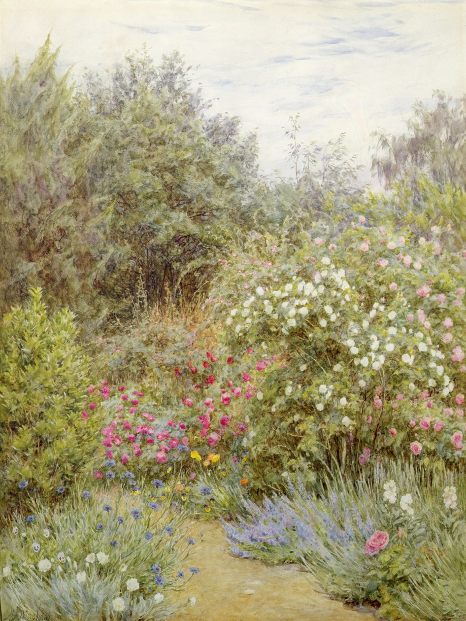 Róże w ogrodzie Gertrude Jekyll, Surrey (akwarela na papierze) autorstwa Helen Allingham