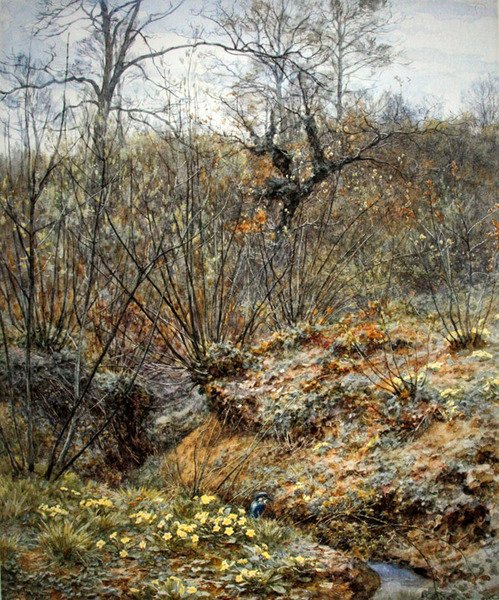 Wiosenny zagajnik, Witley, Surrey (akwarela na papierze) autorstwa Helen Allingham