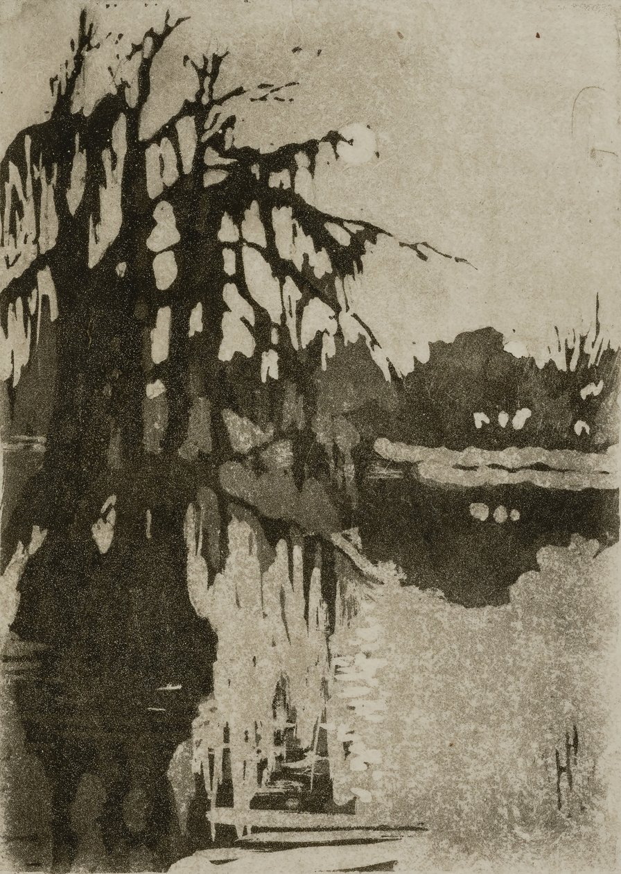 Drzewa cyprysowe autorstwa Helen Hyde