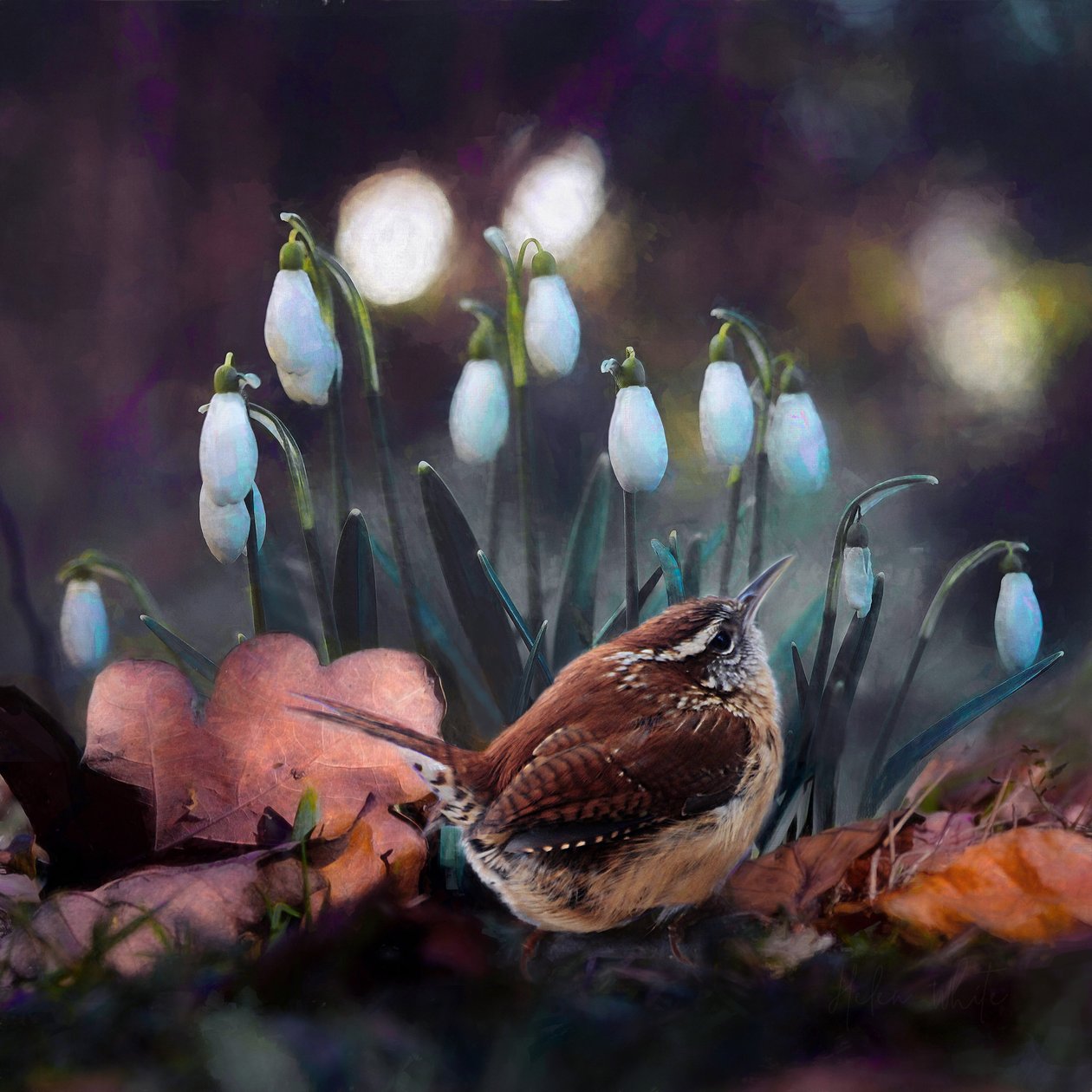 Wielki Głos, 2019 autorstwa Helen White
