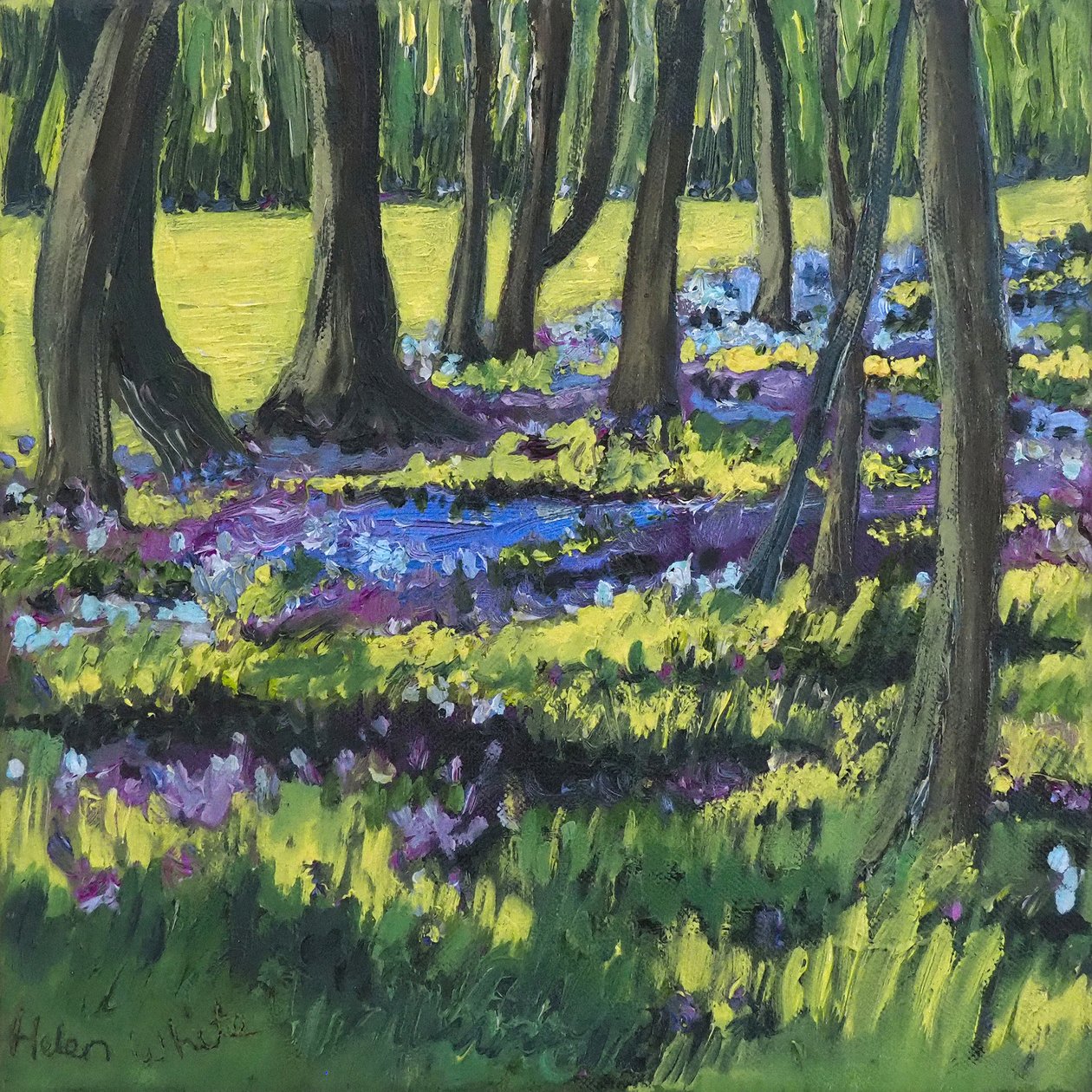 Drewno Bluebell, 2008 autorstwa Helen White