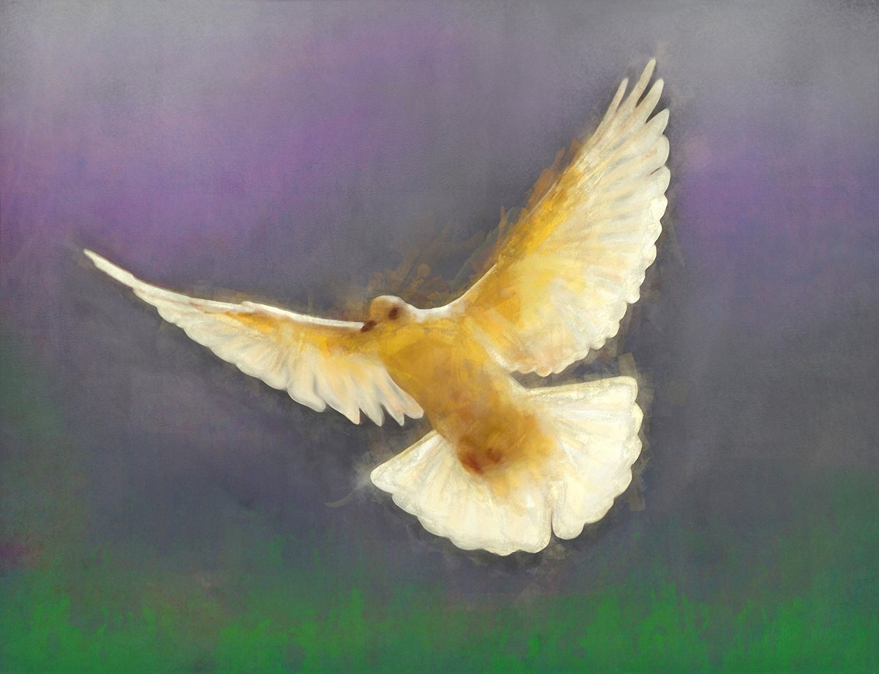 Zwiastun Pokoju, 2019 autorstwa Helen White