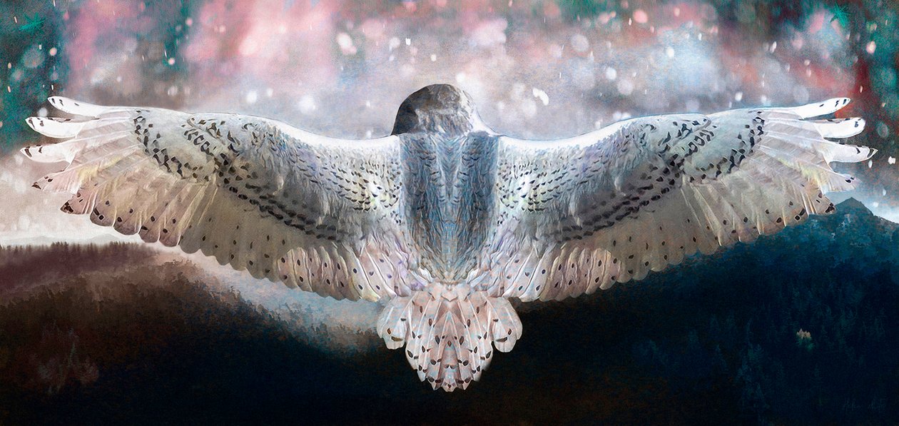 Odważ się latać, 2019 autorstwa Helen White