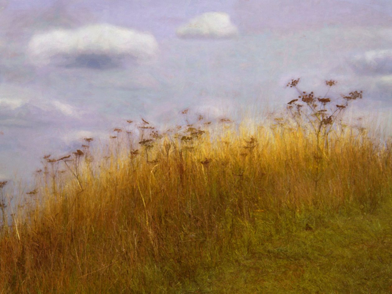 Dryfowanie, 2019 autorstwa Helen White