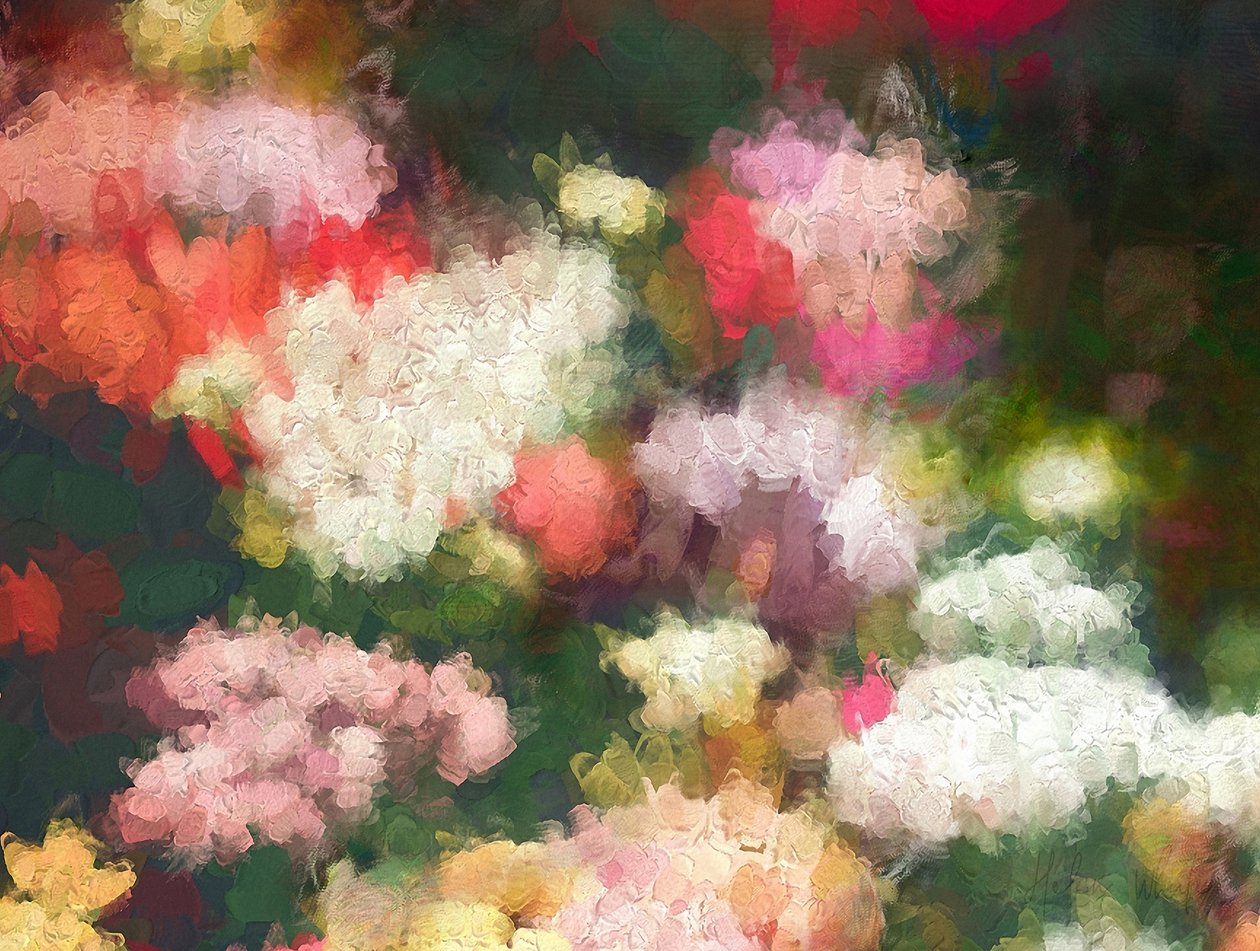Ogród Serca, 2018 autorstwa Helen White