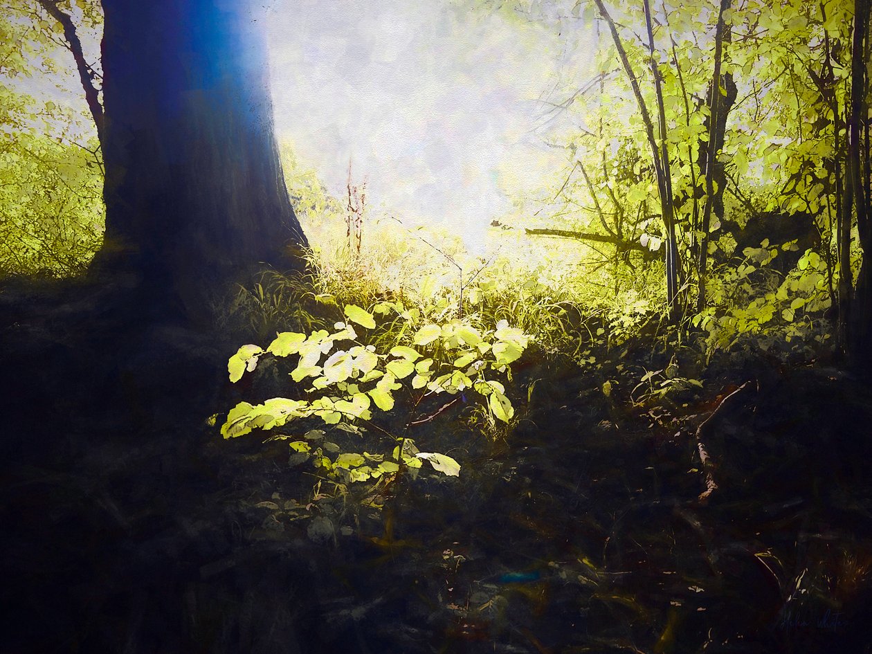 Święte miejsce, 2018 autorstwa Helen White