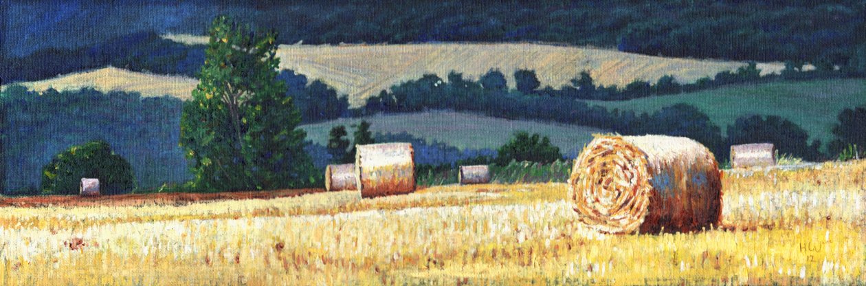 Bele siana na zboczu wzgórza, 2012, autorstwa Helen White