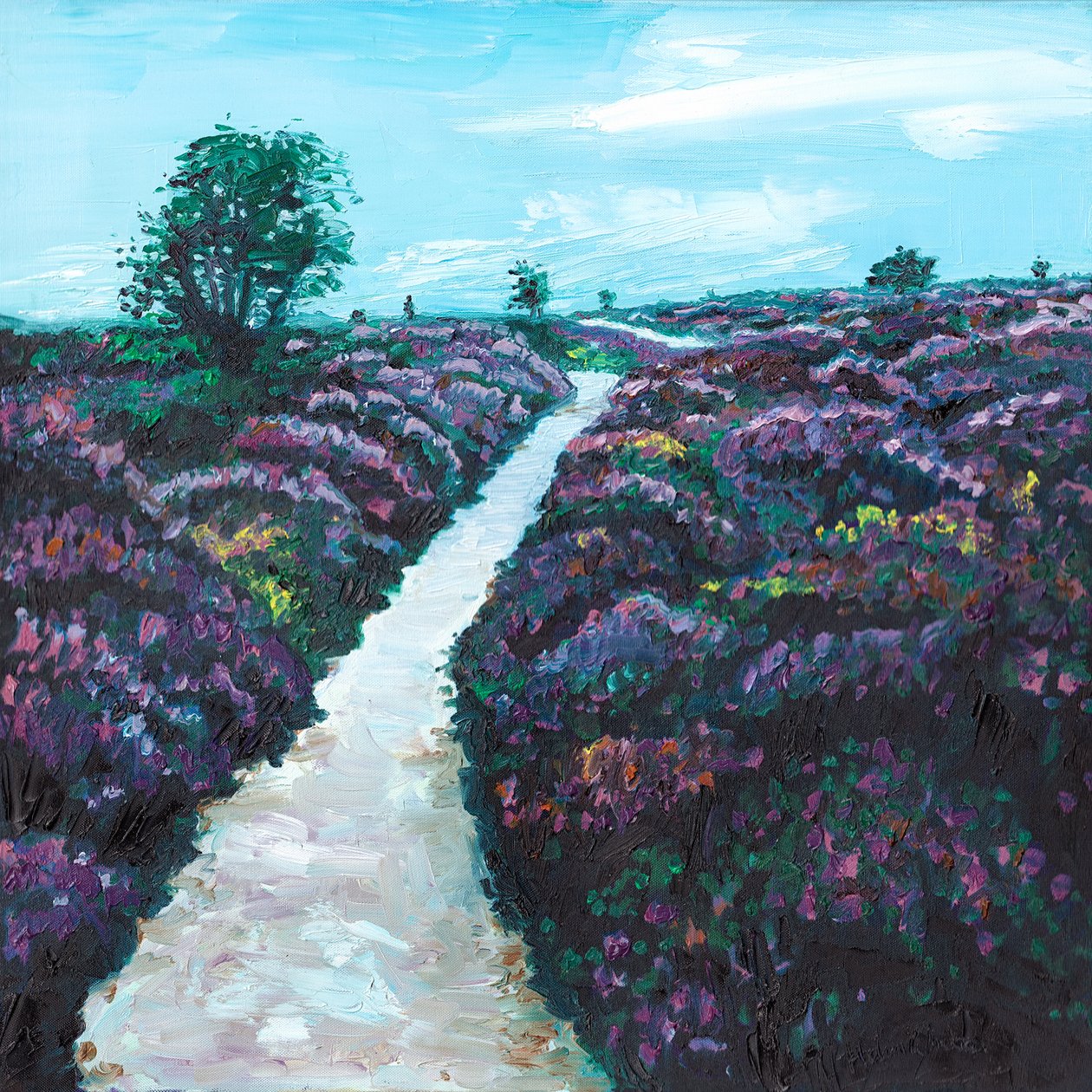 Wrzosowisko wrzosowe, 2009 autorstwa Helen White