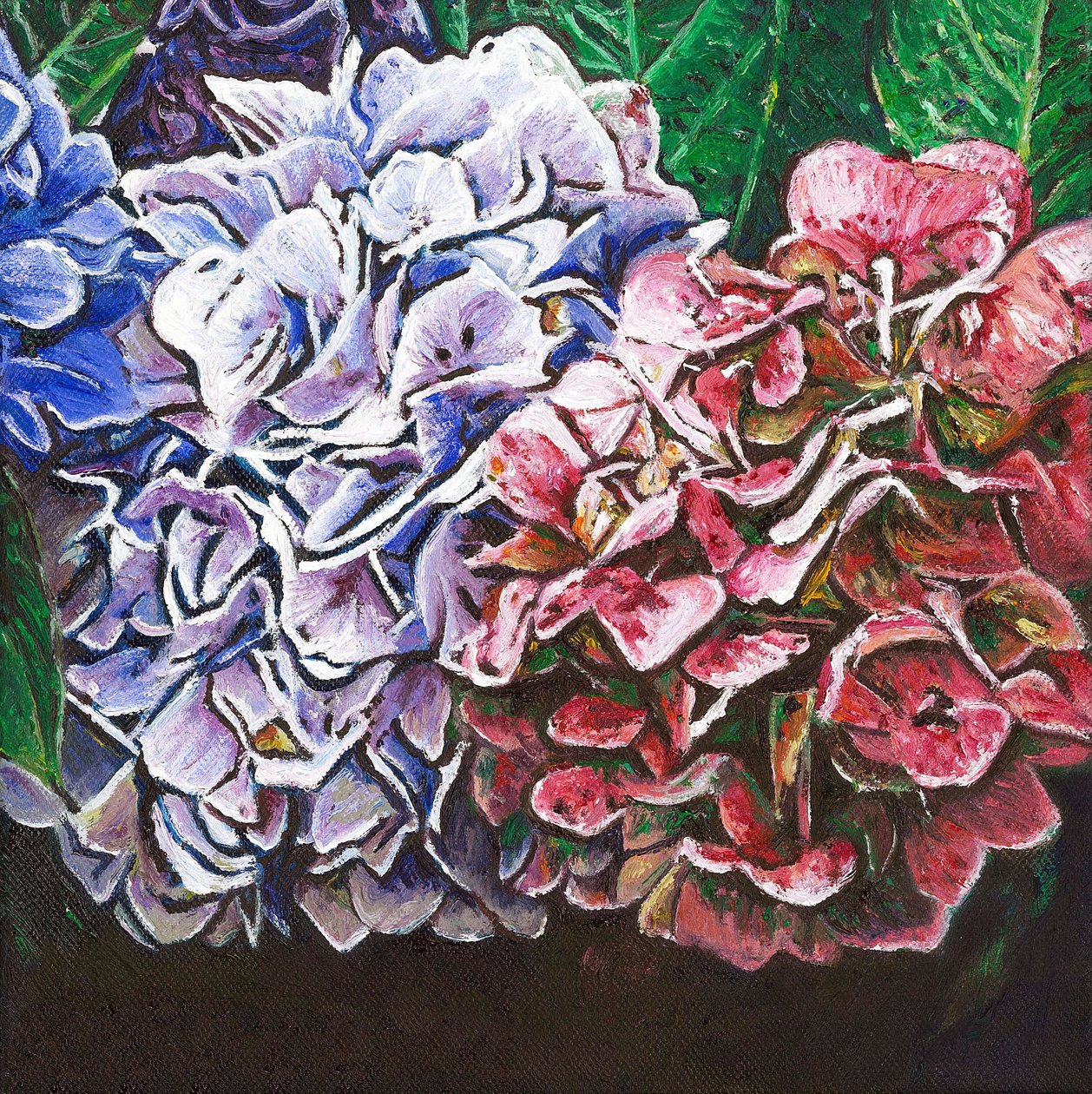 Hortensje, 2010, autorstwa Helen White