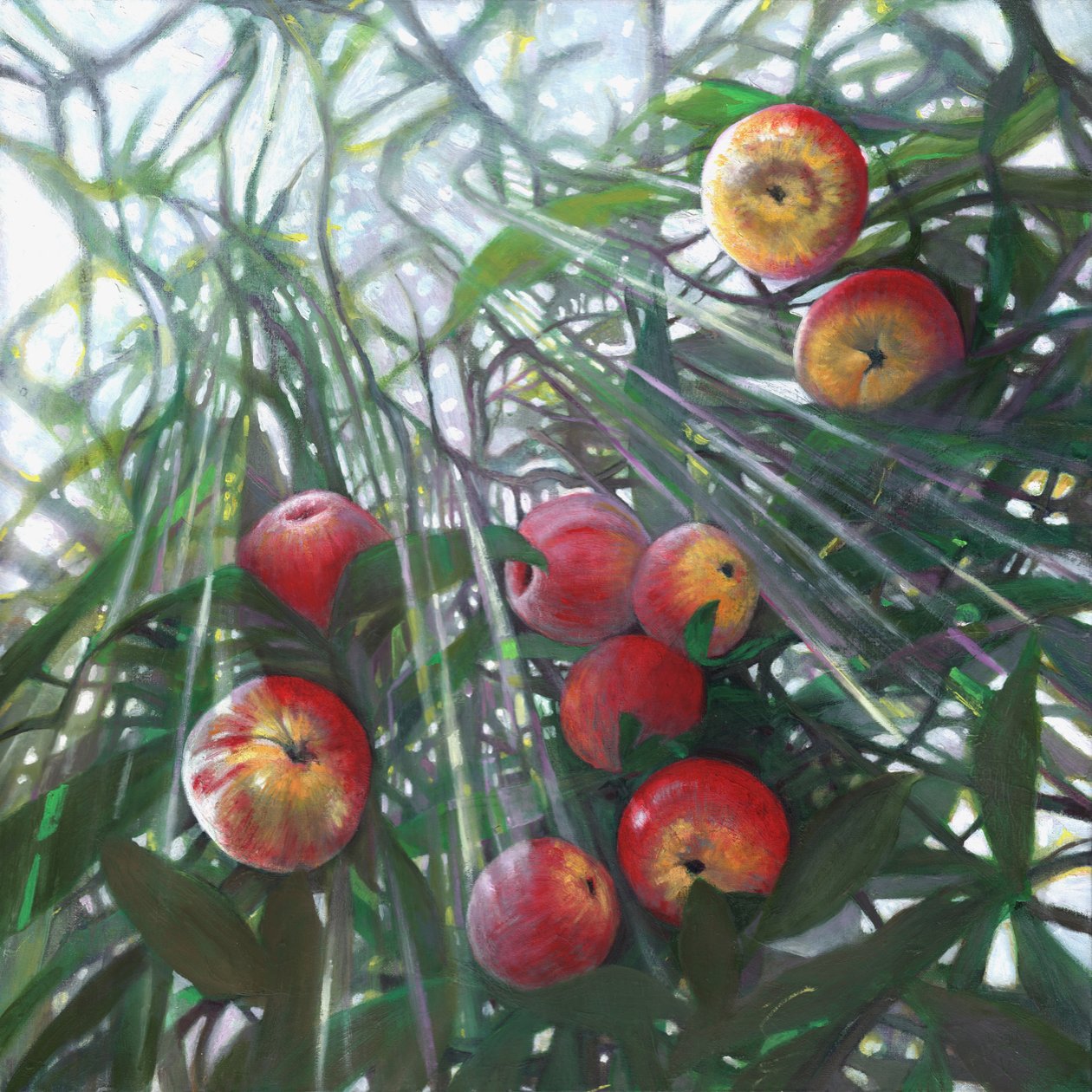 Nowe światło na Eden, 2016, autorstwa Helen White