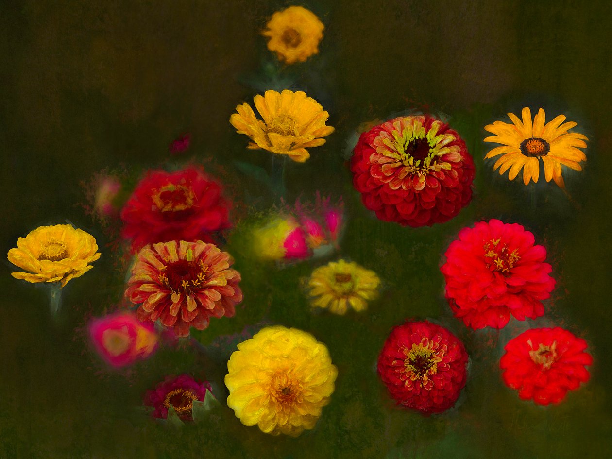 Wybitne piękno, 2019 autorstwa Helen White