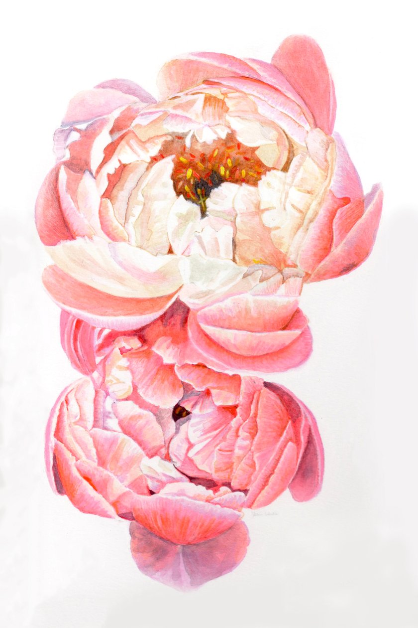  autorstwa Helen White