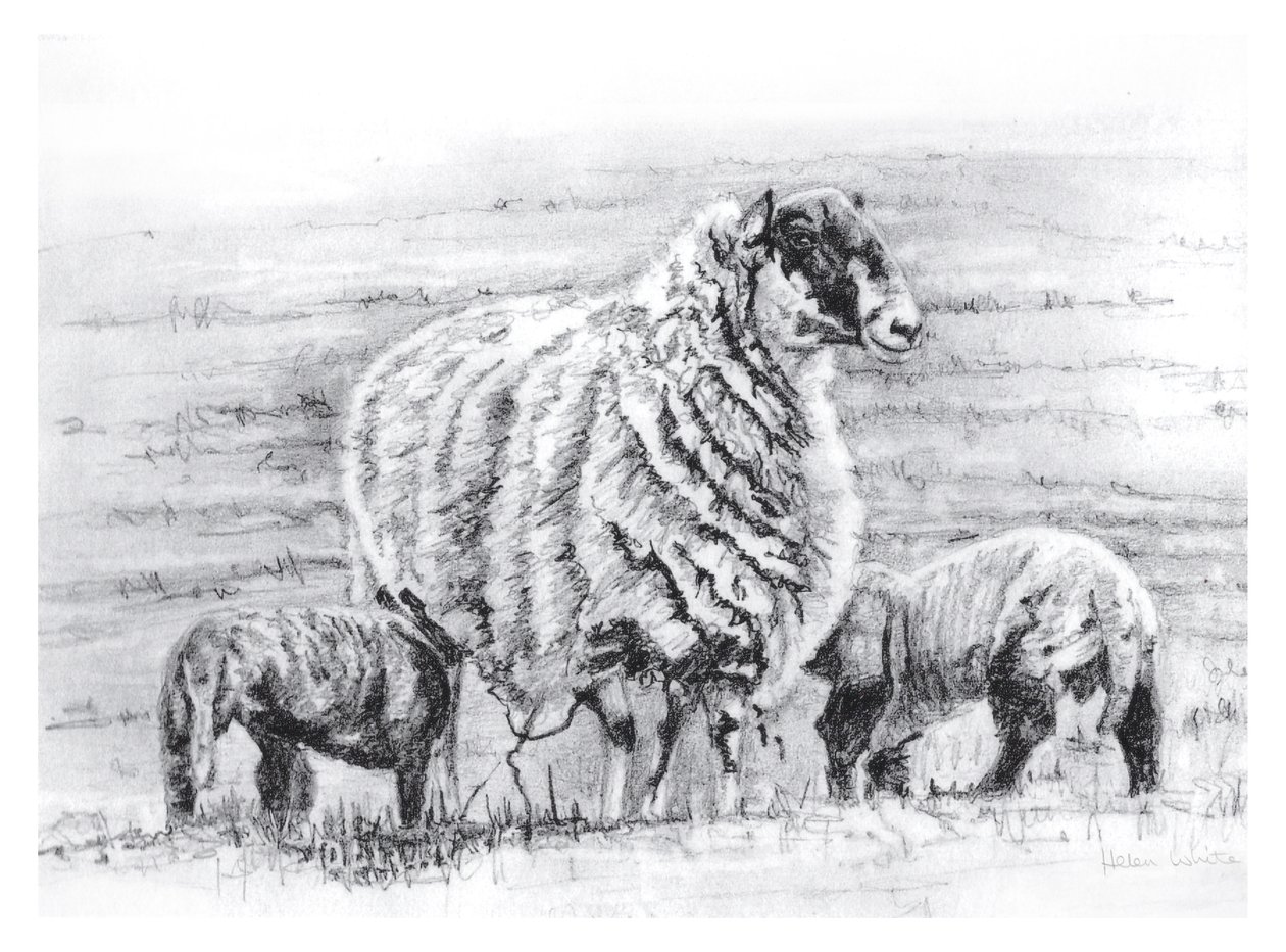  autorstwa Helen White