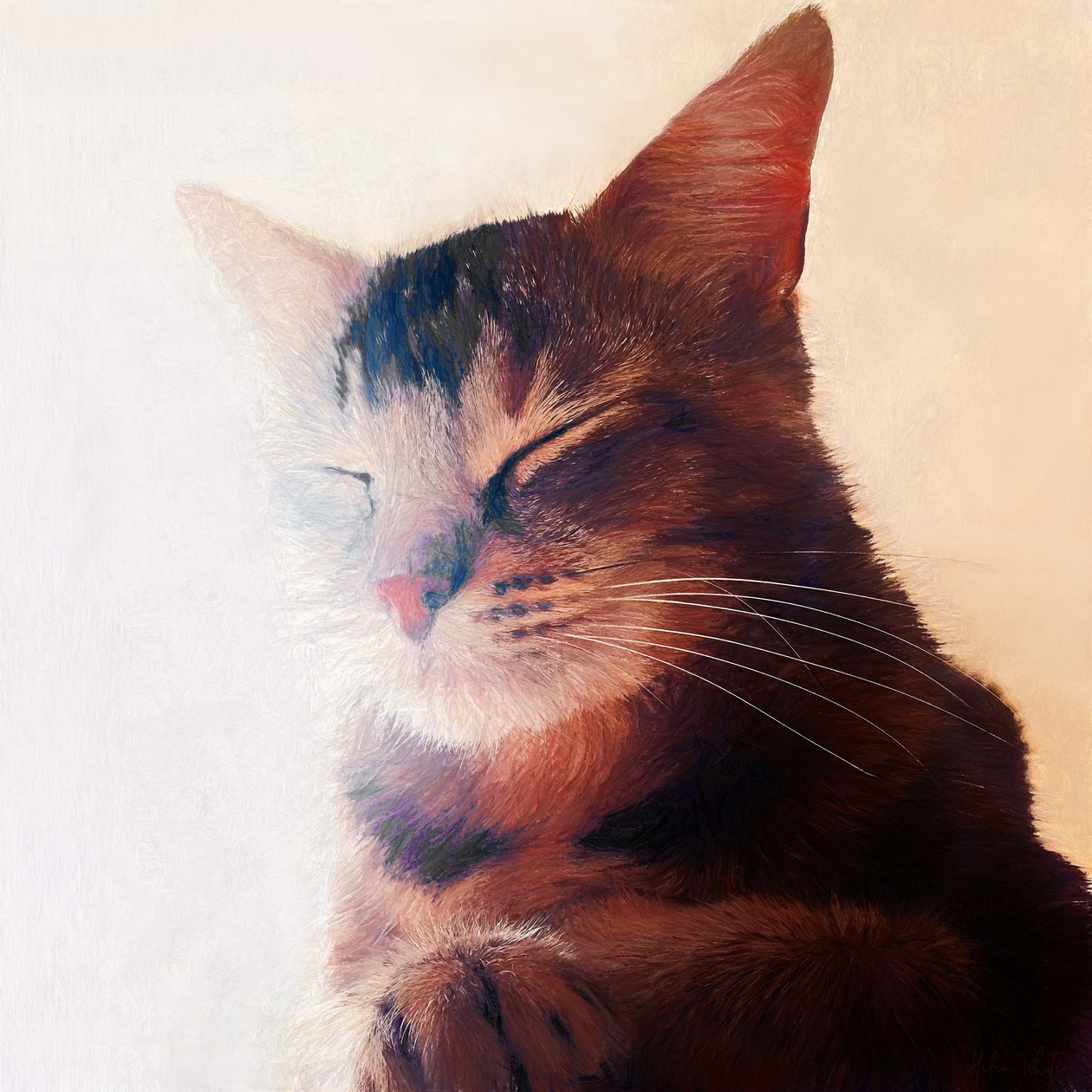 Purr-idealne miejsce, 2018 autorstwa Helen White