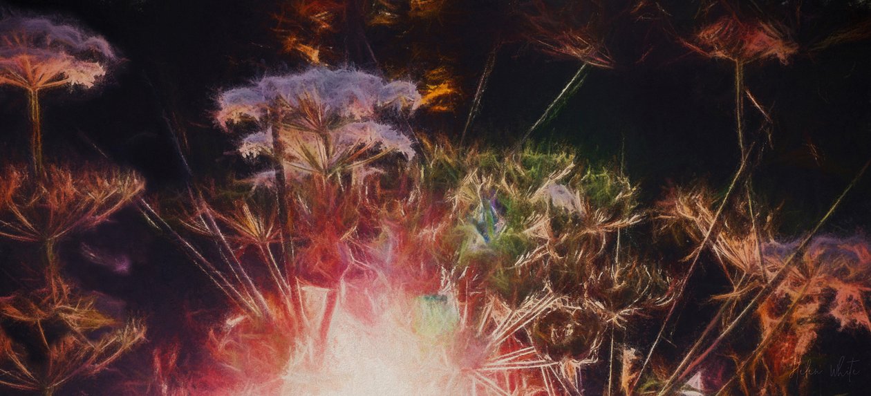 Radiant Hedgerow, 2018, autorstwa Helen White