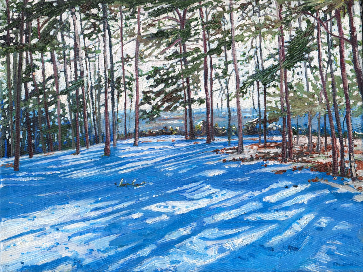 Śnieżny grzbiet, 2009 autorstwa Helen White