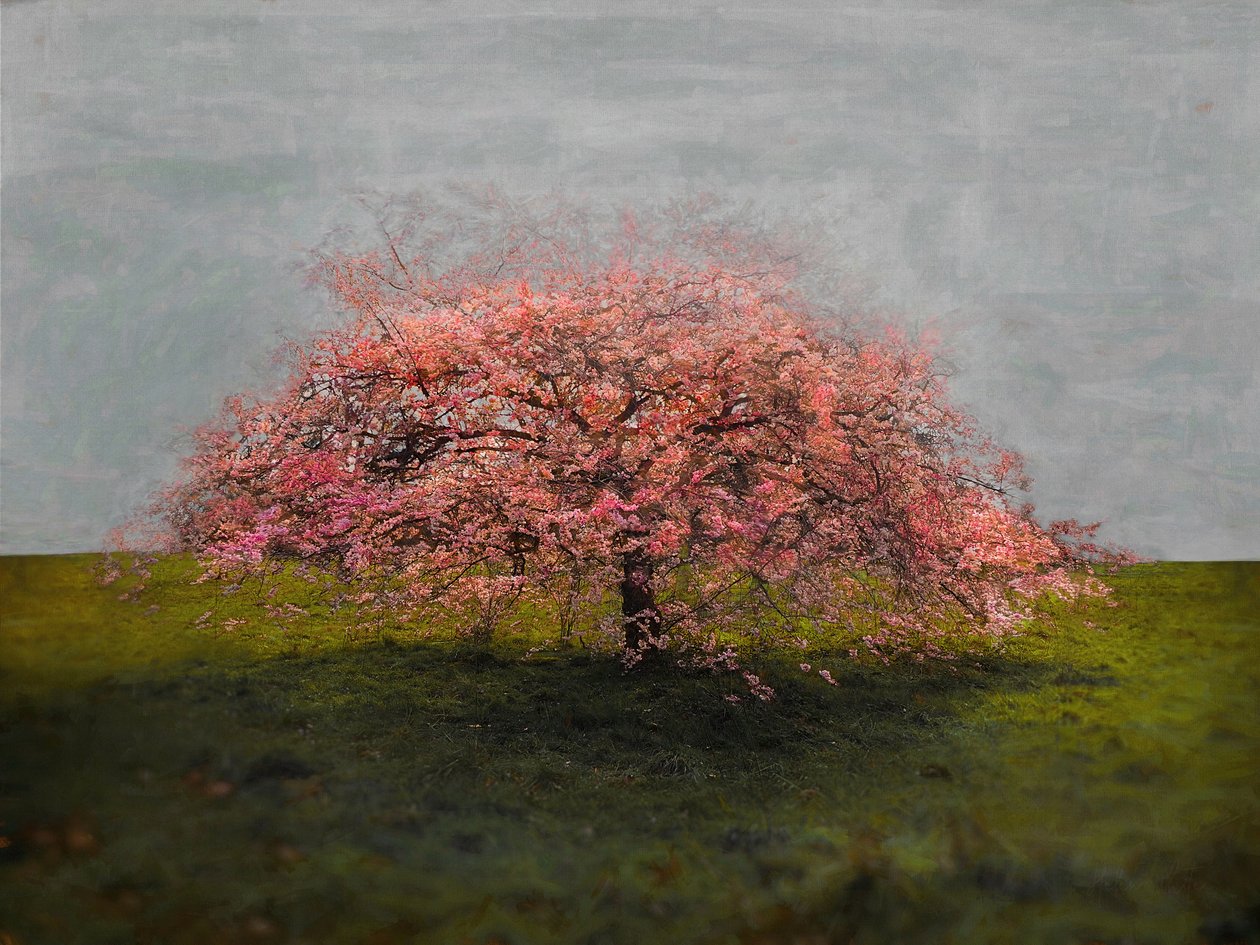 Samodzielne piękno, 2019 autorstwa Helen White