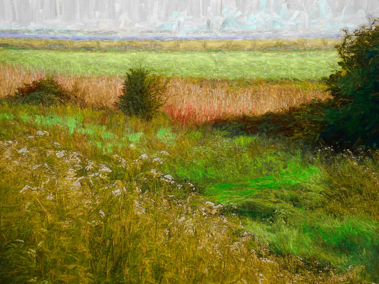 Letnia Łąka, 2019 autorstwa Helen White