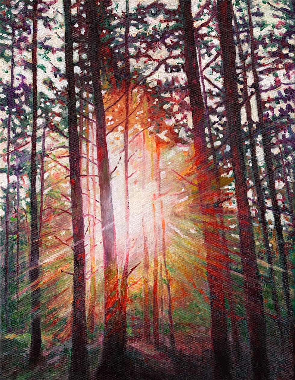 Sunburst, 2010 autorstwa Helen White