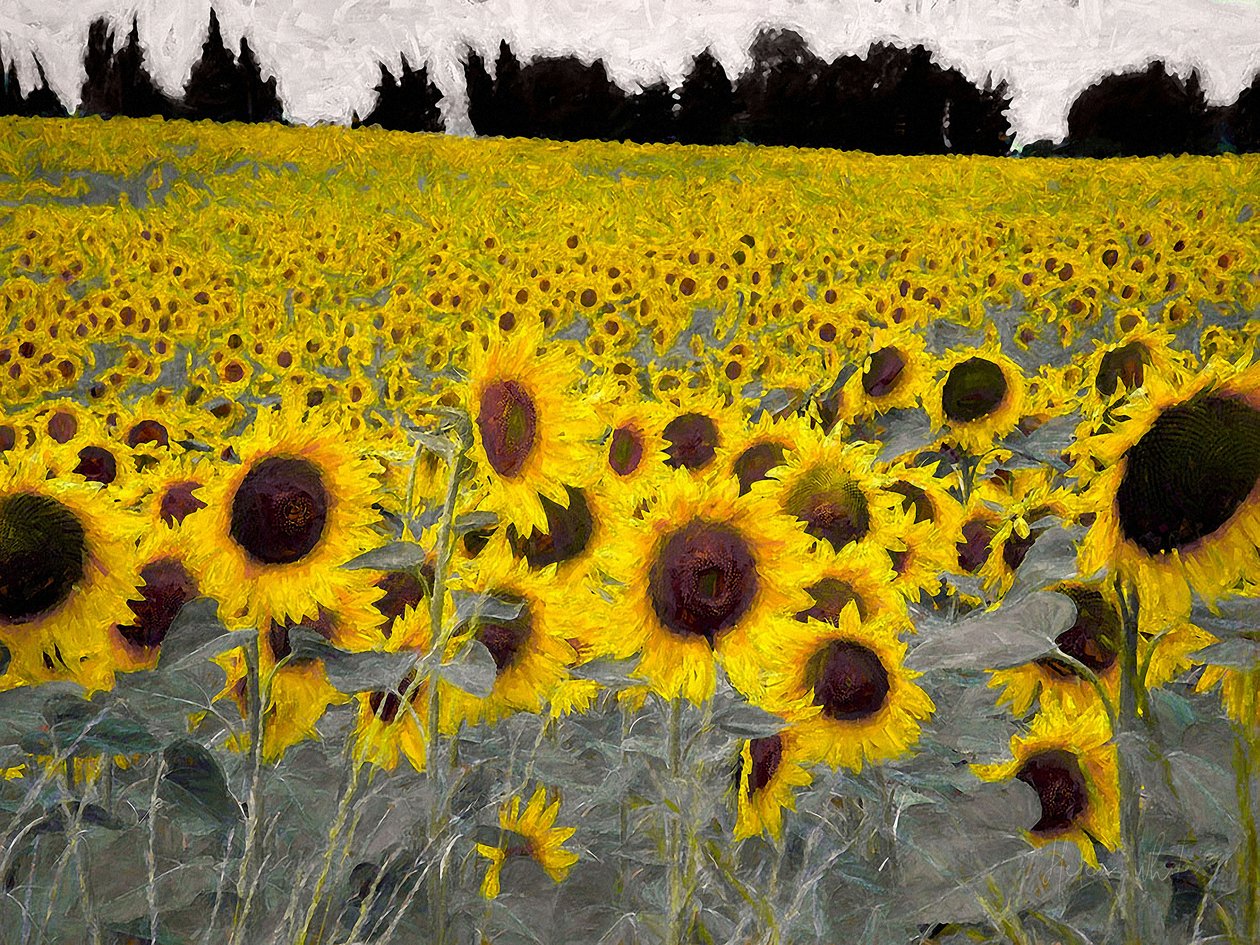 Słoneczne Wzgórze, 2019 autorstwa Helen White