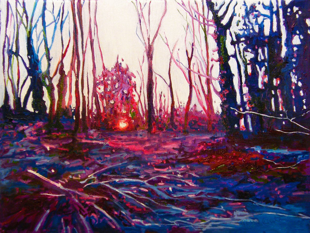 Zachód słońca na oszronionym polu, 2009 (olej na płótnie) autorstwa Helen White