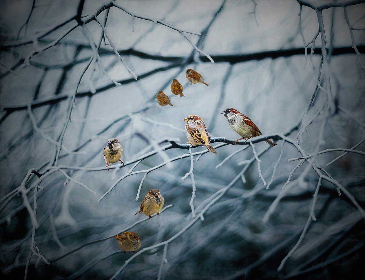Tętniące życiem, 2019 autorstwa Helen White