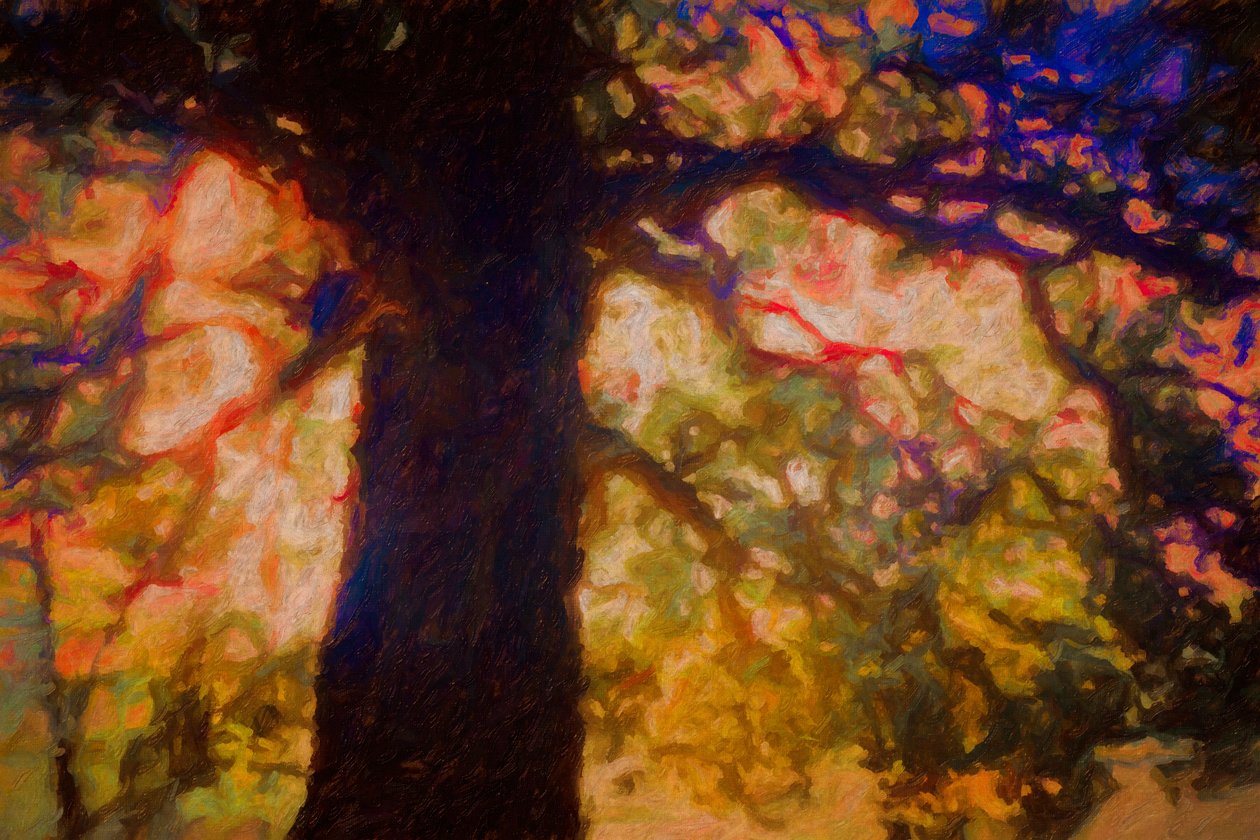 Pod Rozłożystym Dębem, 2019 autorstwa Helen White